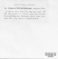 Uromyces hedysari-paniculati image